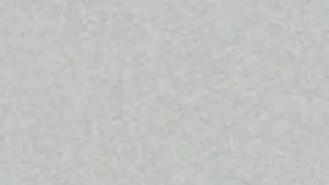 sinalco1975 online show from April 2026 02:03:02 AM