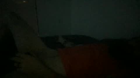 sinamaxx online show from December 2025 12:10:01 PM