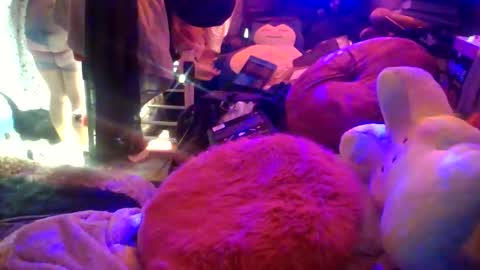 Siofra online show from March 2026 05:39:01 PM