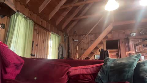 Snapshot of sirbubblesworth chatting on January 2025 09:42:02 PM sirbubblesworth online show from January 2025 09:42:02 PM