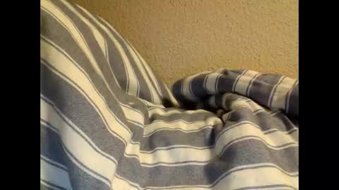 Snapshot of sircamalot45 chatting on February 2025 01:36:01 AM sircamalot45 online show from February 2025 01:36:01 AM