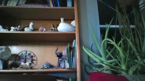 sirlicksaclit online show from January 2025 03:01:01 AM