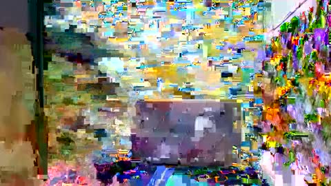 SIR RYANT online show from February 2025 08:10:01 PM