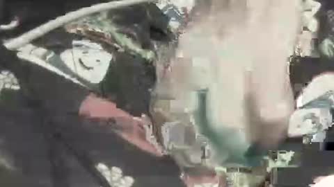 sithjw78 online show from November 2025 02:33:02 AM