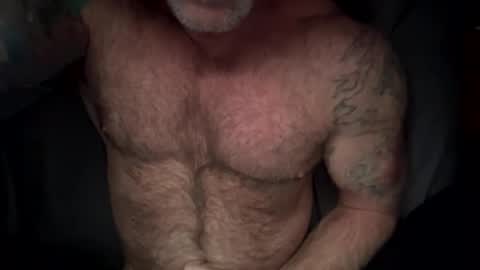 BEEF online show from February 2026 12:34:01 PM