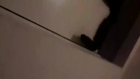 skimmer70z online show from September 2025 08:30:02 PM