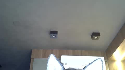 skinnykittencam online show from November 2025 12:07:01 PM