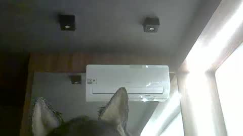 skinnykittencam online show from February 2026 10:14:01 PM