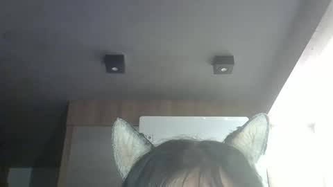 skinnykittencam online show from March 2026 04:01:02 AM