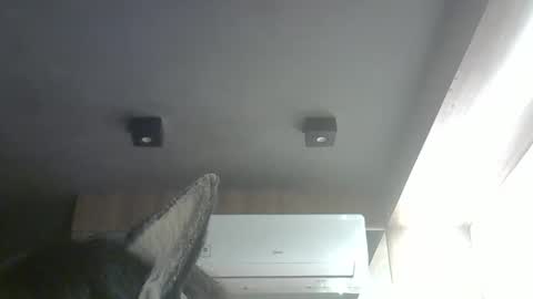 skinnykittencam online show from March 2026 04:46:02 AM