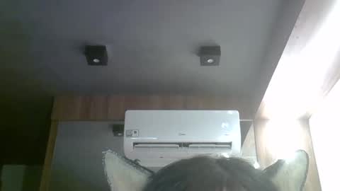 skinnykittencam online show from April 2026 07:11:01 AM