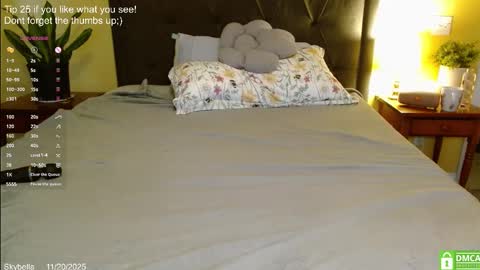 Skylar online show from November 2025 02:06:01 PM