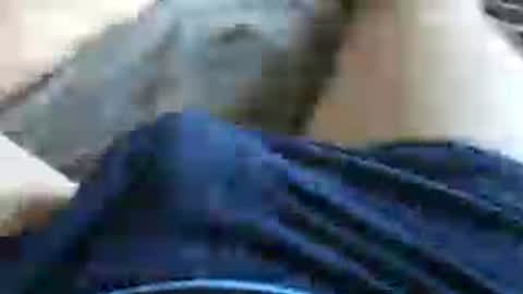 Snapshot of skyblu2031 chatting on July 2026 05:38:02 PM skyblu2031 online show from July 2026 05:38:02 PM