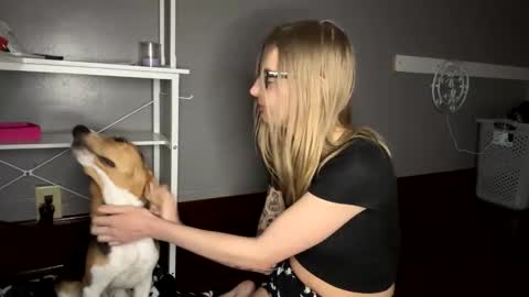 Sky  online show from November 2025 01:04:02 AM