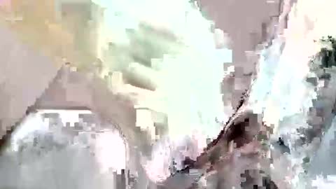 Z online show from November 2025 08:52:02 PM