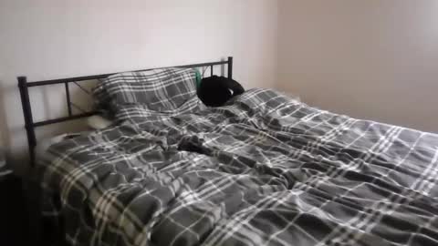 slavemike301 online show from May 2026 12:02:01 PM