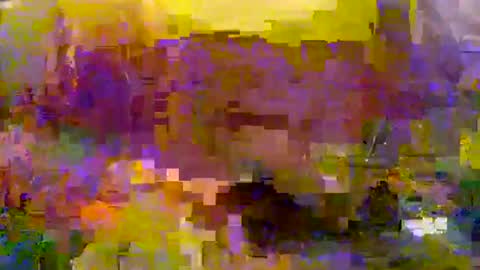 slip_inslide online show from March 2025 06:11:01 PM