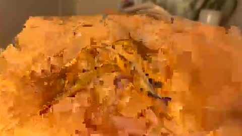 slipmytip online show from December 2025 11:08:01 AM