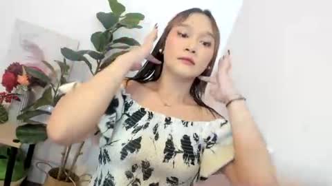 STELLA online show from July 2026 02:52:02 PM