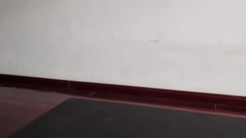 slutfactor online show from March 2026 06:36:01 AM