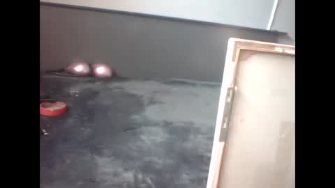 Snapshot of slutviki chatting on February 2026 10:14:02 AM slutviki online show from February 2026 10:14:02 AM