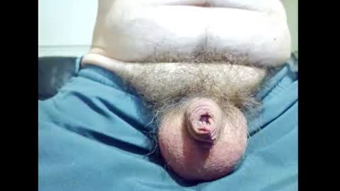 Snapshot of smallhairyuncut chatting on July 2026 05:21:01 PM Small Hairy Uncut online show from July 2026 05:21:01 PM