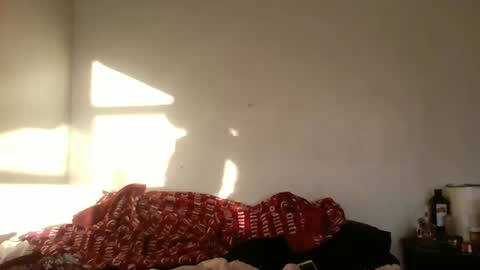 Bambi--Vodka online show from December 2024 09:09:02 PM