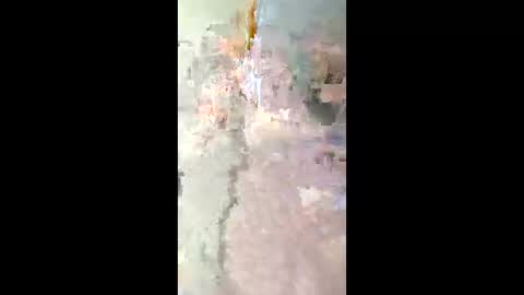 smyklops online show from January 2026 03:09:02 AM