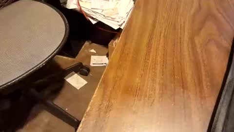 watchmecum online show from February 2026 01:09:01 PM