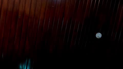 leidy online show from December 2024 04:51:02 PM