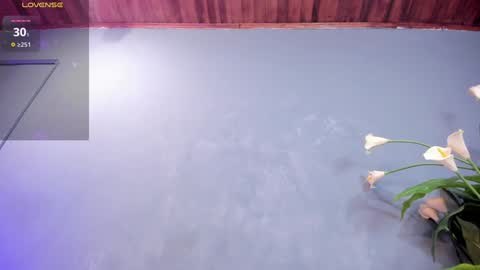 Sofia online show from December 2024 01:32:02 PM