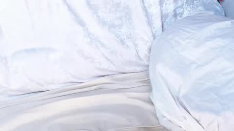 Snapshot of sofia_here chatting on January 2025 06:27:02 AM Sofia here online show from January 2025 06:27:02 AM