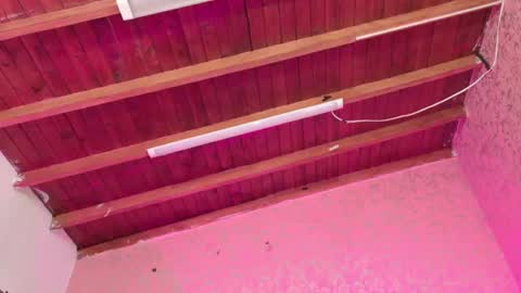 Sofia online show from November 2025 03:05:01 AM