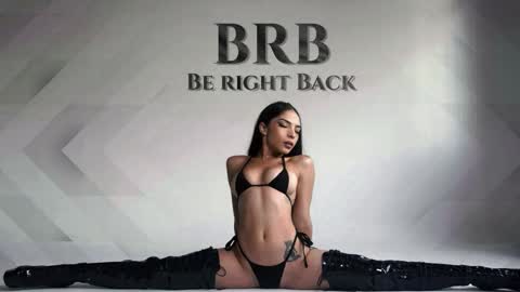       online show from November 2025 03:17:02 PM