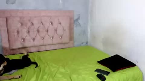 Snapshot of sofiadoll77 chatting on February 2025 09:03:01 AM sofiadoll77 online show from February 2025 09:03:01 AM