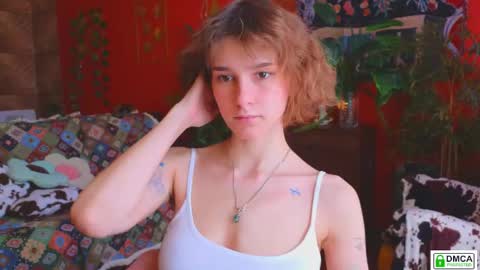 Snapshot of soft_animal chatting on May 2026 08:11:01 AM E online show from May 2026 08:11:01 AM