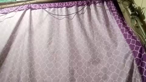 soft_bads online show from September 2025 12:38:01 PM