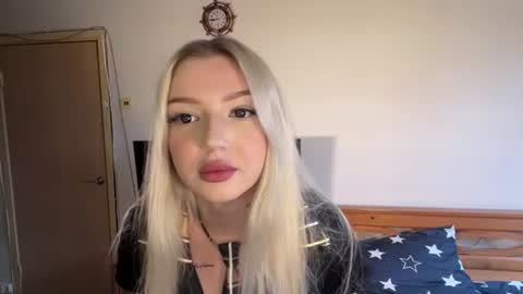 SOFT MEOW online show from July 2026 10:35:02 AM