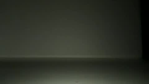 L4 online show from November 2025 07:03:01 PM