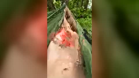 Soloteenguy online show from June 2026 12:36:01 PM