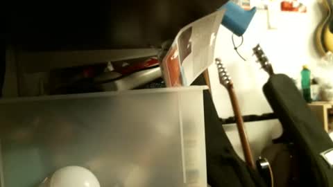 BruceWilly online show from January 2025 08:23:02 PM