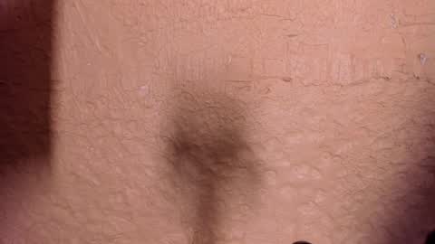 sophi_cooper29 online show from December 2025 11:46:01 PM