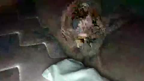 Snapshot of source1012 chatting on January 2025 05:31:01 AM source1012 online show from January 2025 05:31:01 AM