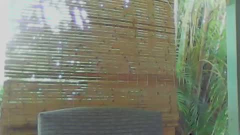 soveryhandsome online show from January 2025 05:34:01 AM