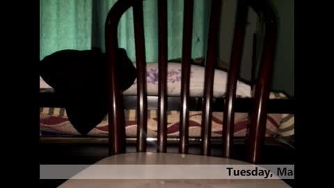 space Dog25 online show from March 2026 05:24:02 AM