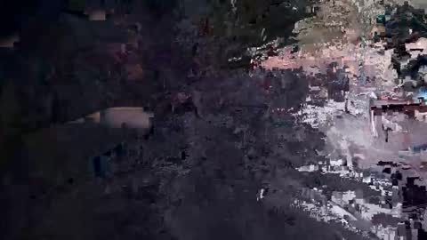 spider00969 online show from February 2026 02:42:01 AM