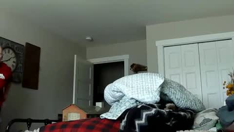 Snapshot of sportfish chatting on February 2026 10:33:01 PM sportfish online show from February 2026 10:33:01 PM