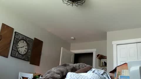 Snapshot of sportfish chatting on April 2026 06:38:01 PM sportfish online show from April 2026 06:38:01 PM