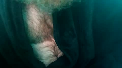 spunfuncumming online show from July 2026 10:07:01 AM