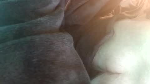 spunfuncumming online show from July 2026 06:55:02 PM